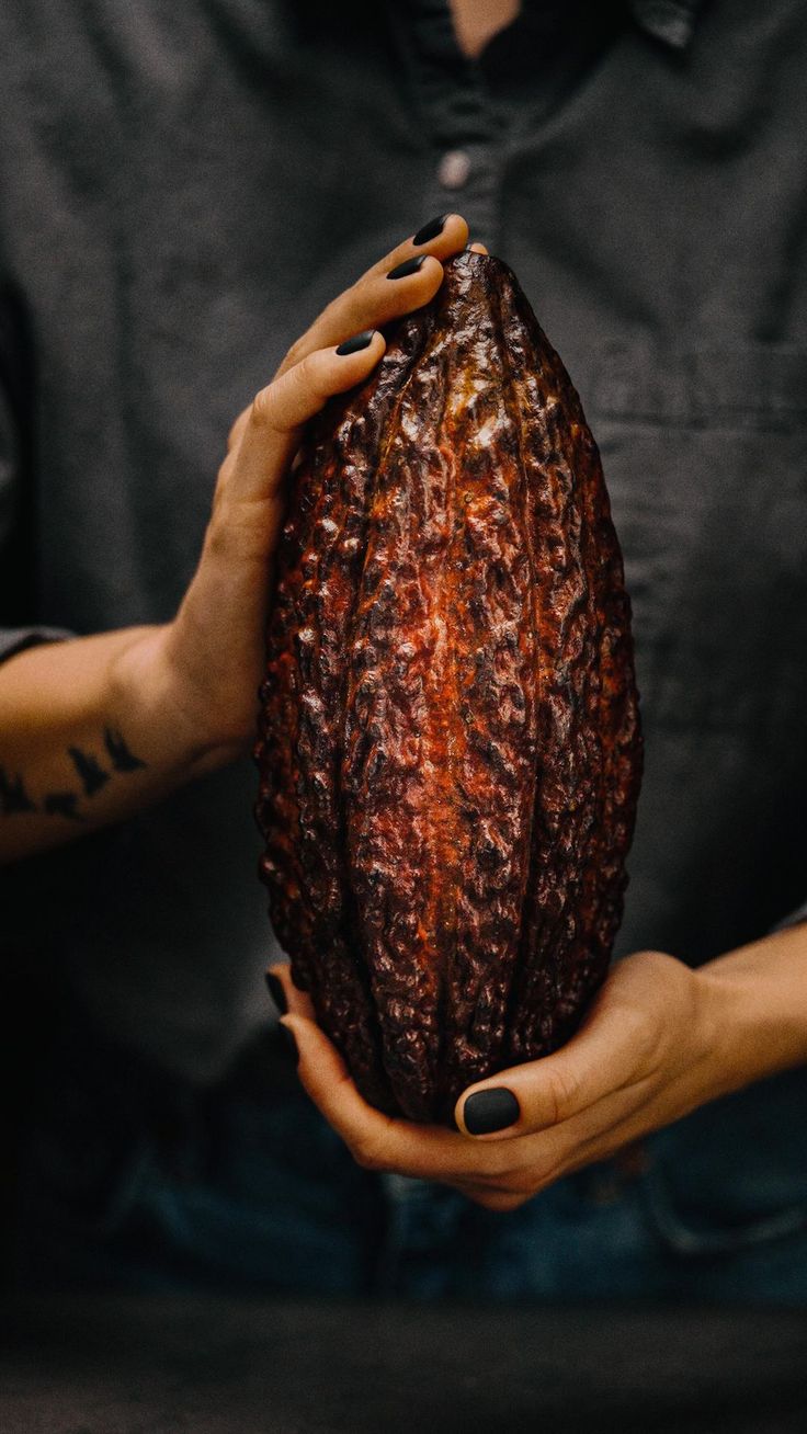 The Superfood You Love: The Surprising Benefits of Cacao